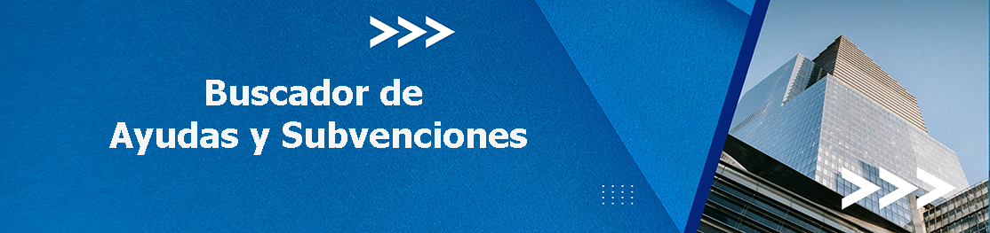 ayudas y subvenciones